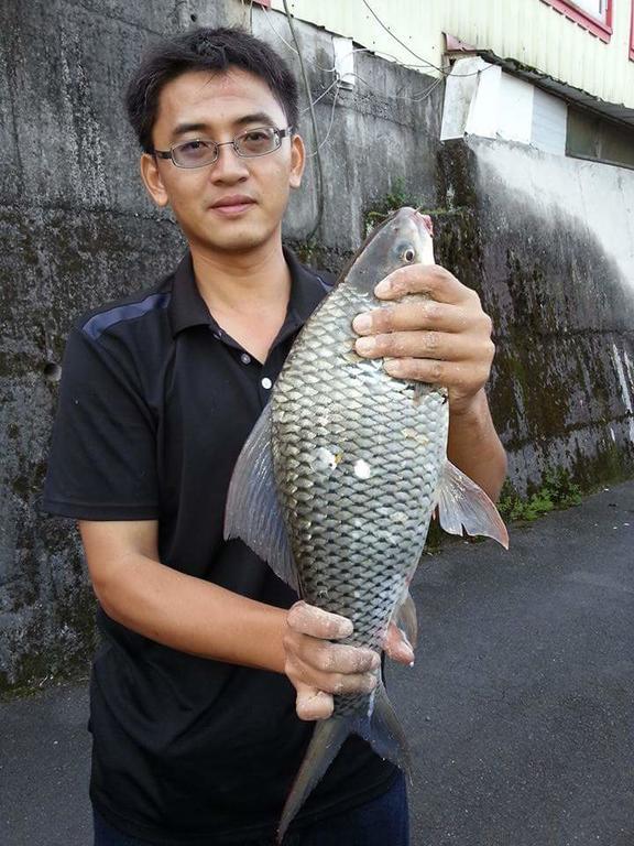 全家湖畔木屋 Lakeside Villa - 包棟 釣魚 烤肉 炊煮 鱼池乡 外观 照片