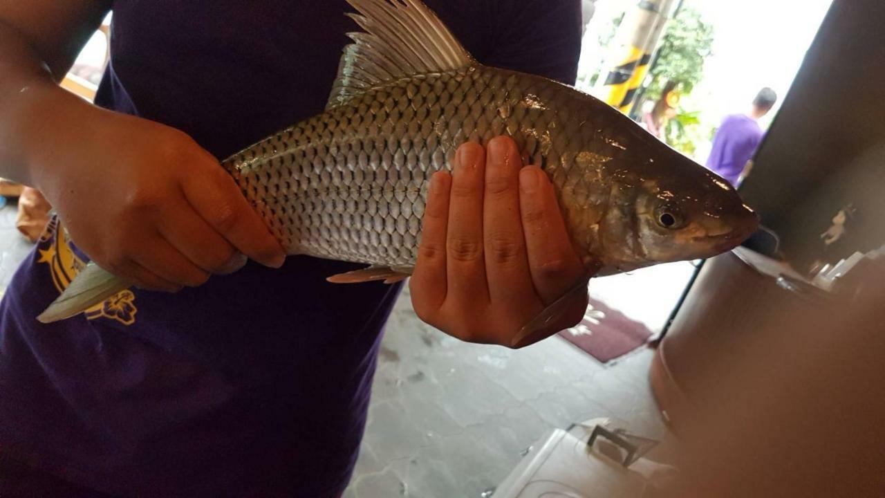 全家湖畔木屋 Lakeside Villa - 包棟 釣魚 烤肉 炊煮 鱼池乡 外观 照片